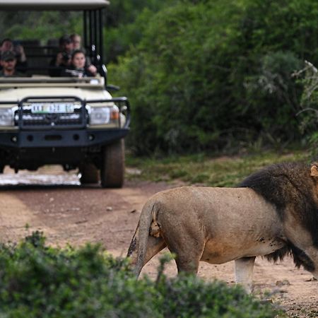 Addo Elephant Safari Lodge - Bellevue Forest Reserve Paterson Екстер'єр фото