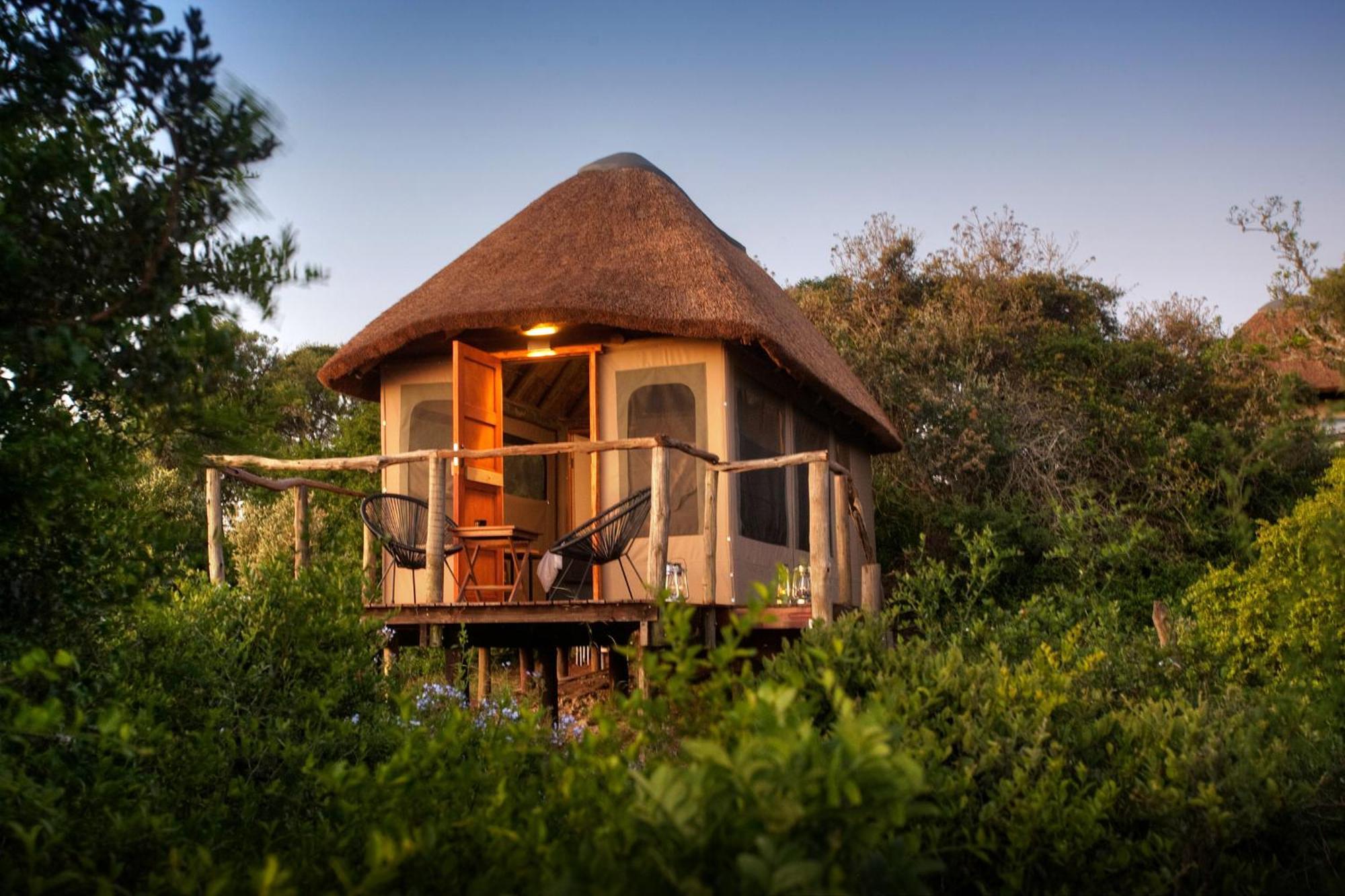 Addo Elephant Safari Lodge - Bellevue Forest Reserve Paterson Екстер'єр фото