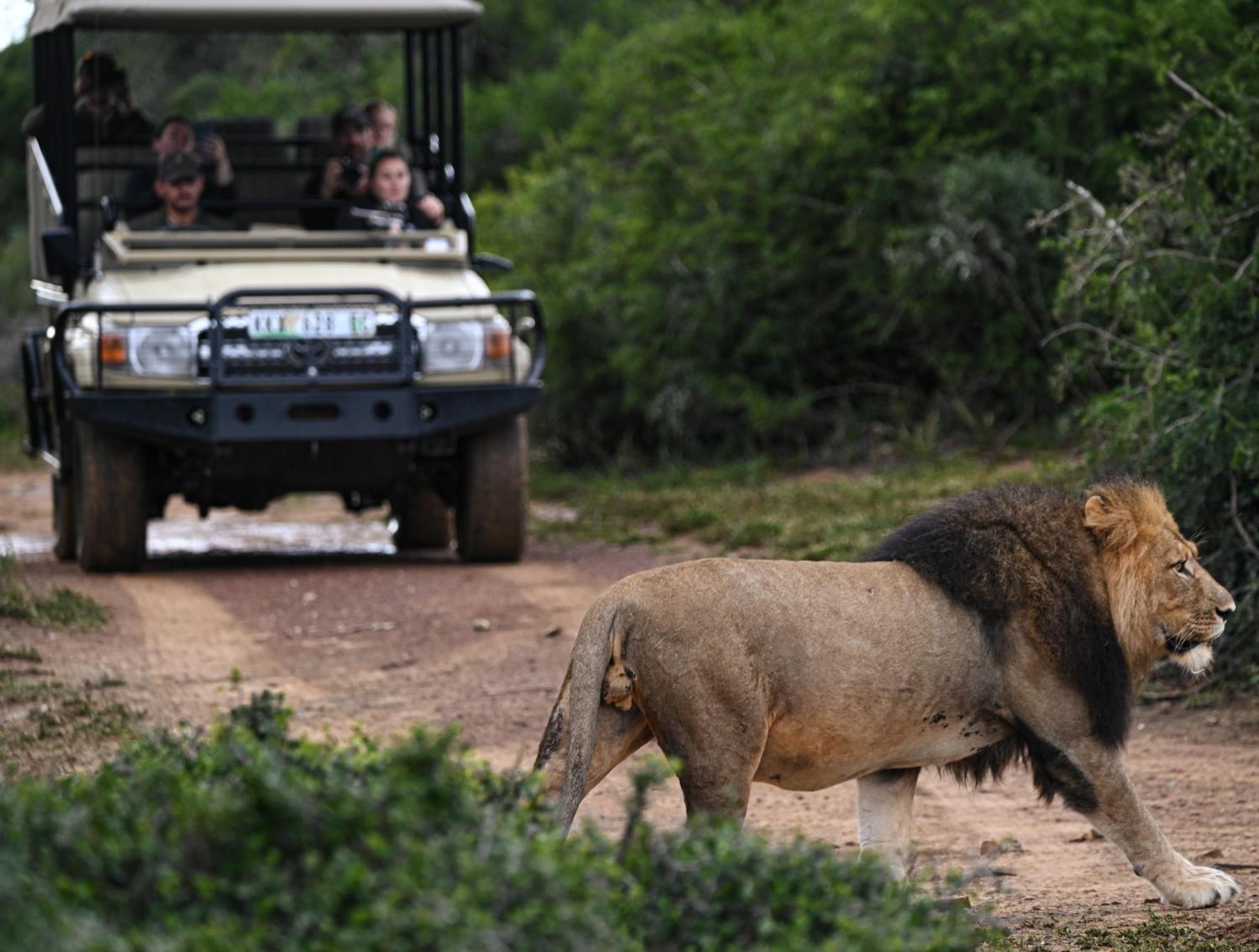 Addo Elephant Safari Lodge - Bellevue Forest Reserve Paterson Екстер'єр фото