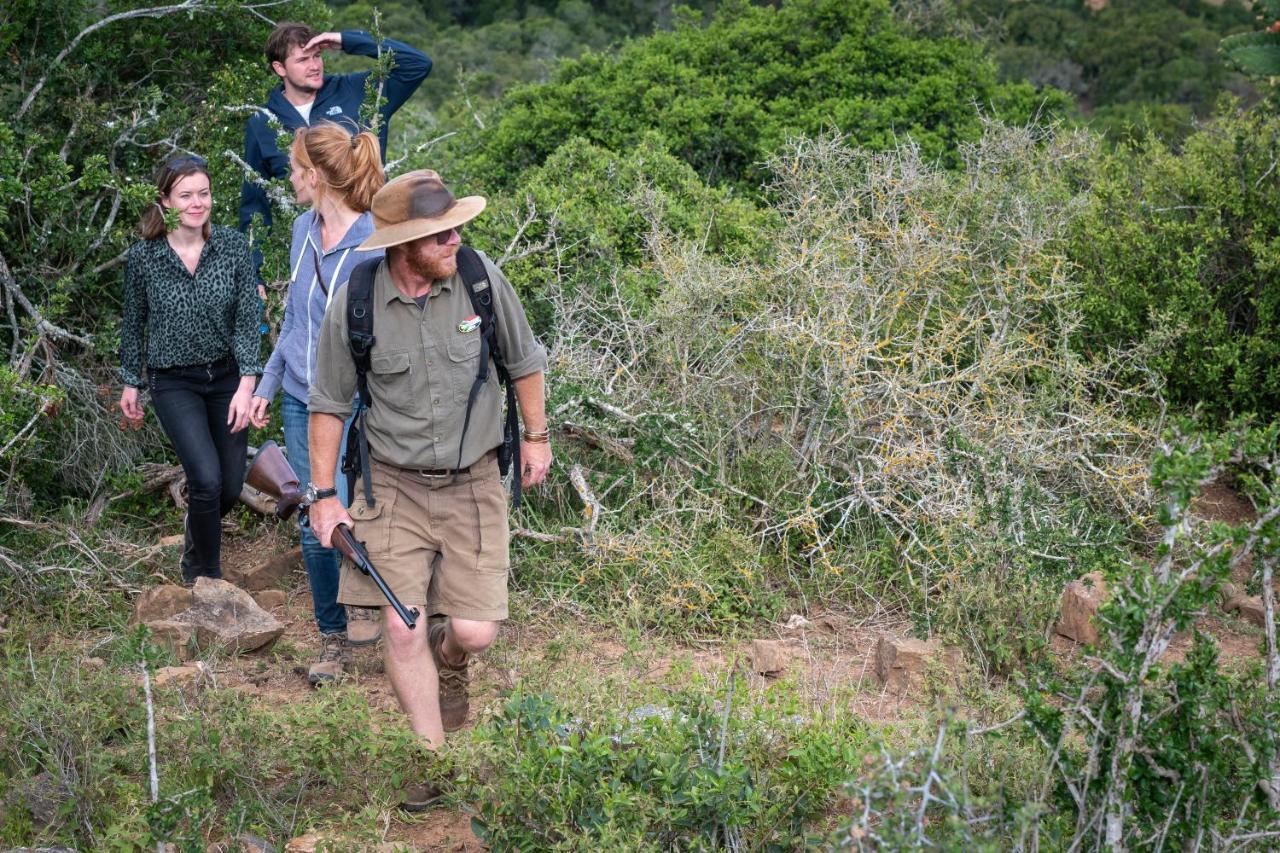 Addo Elephant Safari Lodge - Bellevue Forest Reserve Paterson Екстер'єр фото