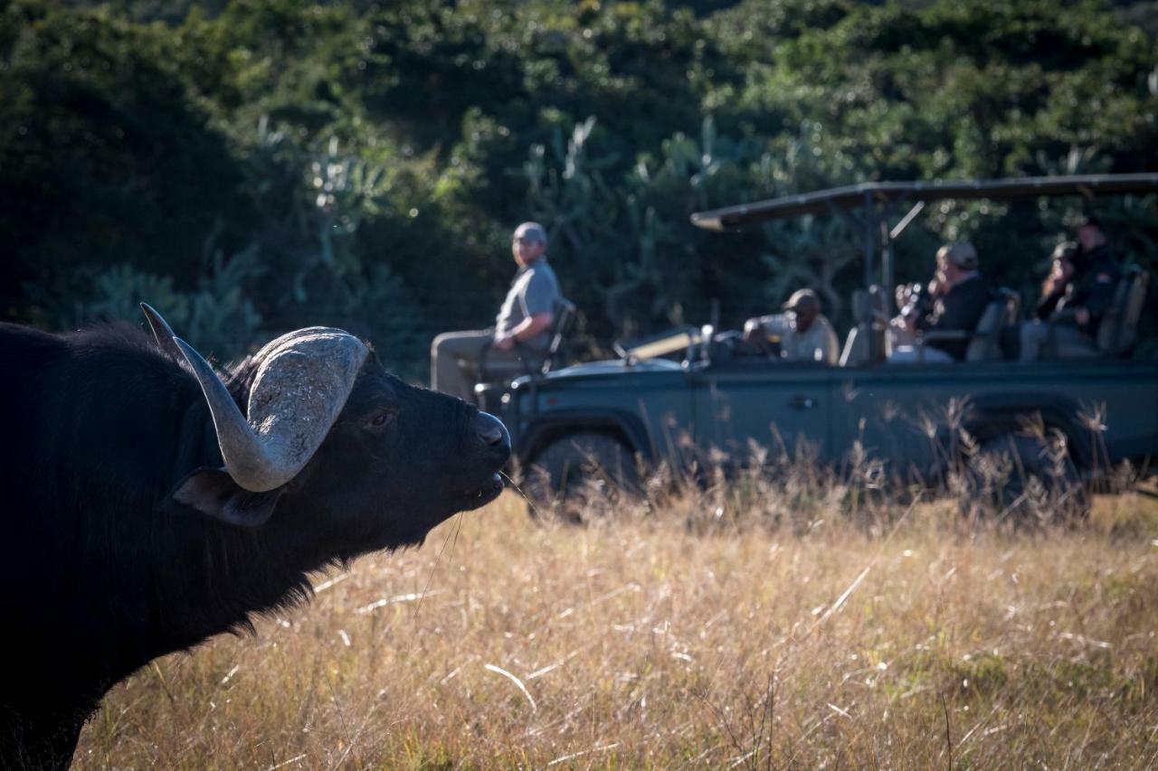 Addo Elephant Safari Lodge - Bellevue Forest Reserve Paterson Екстер'єр фото