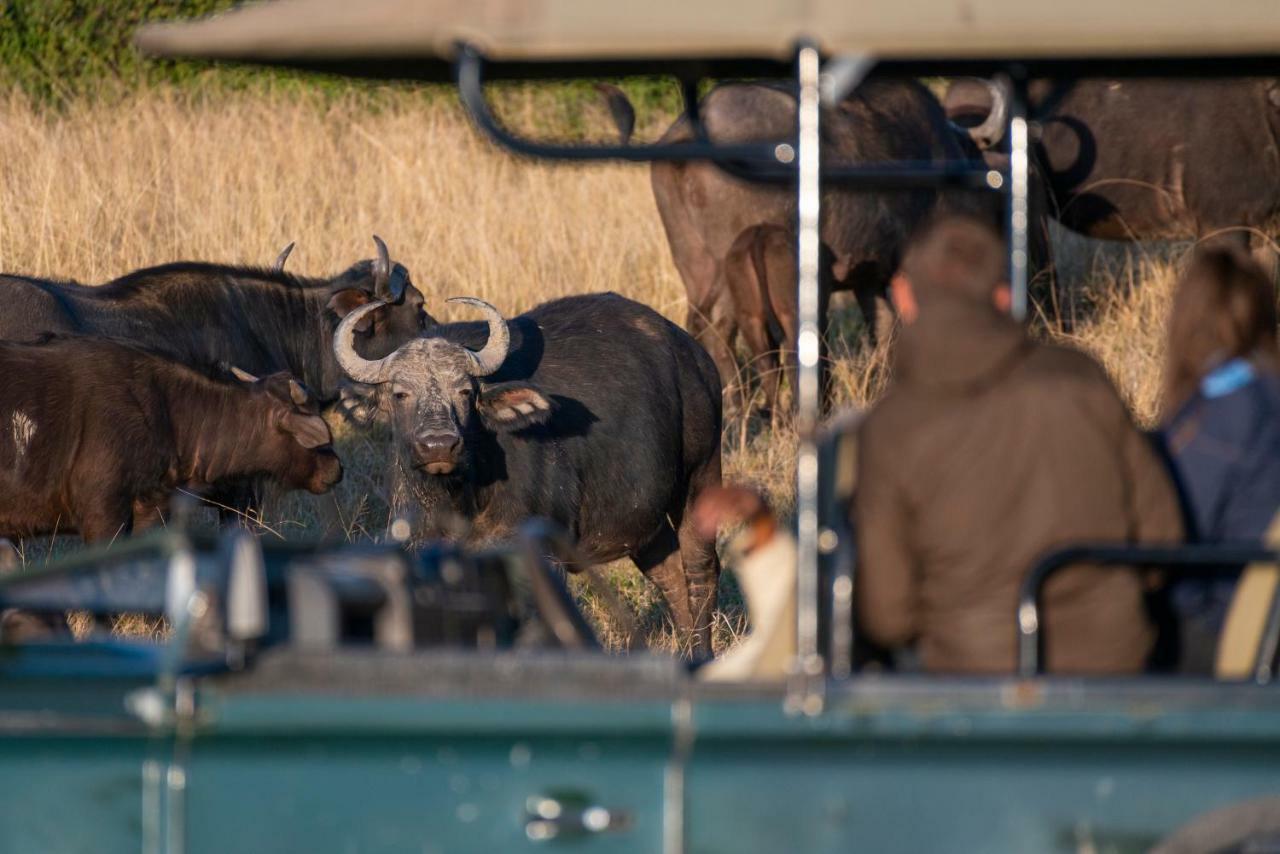 Addo Elephant Safari Lodge - Bellevue Forest Reserve Paterson Екстер'єр фото