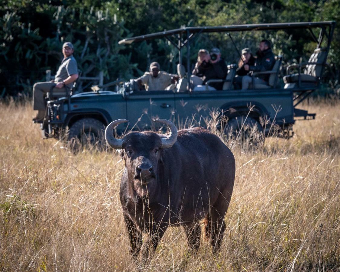 Addo Elephant Safari Lodge - Bellevue Forest Reserve Paterson Екстер'єр фото
