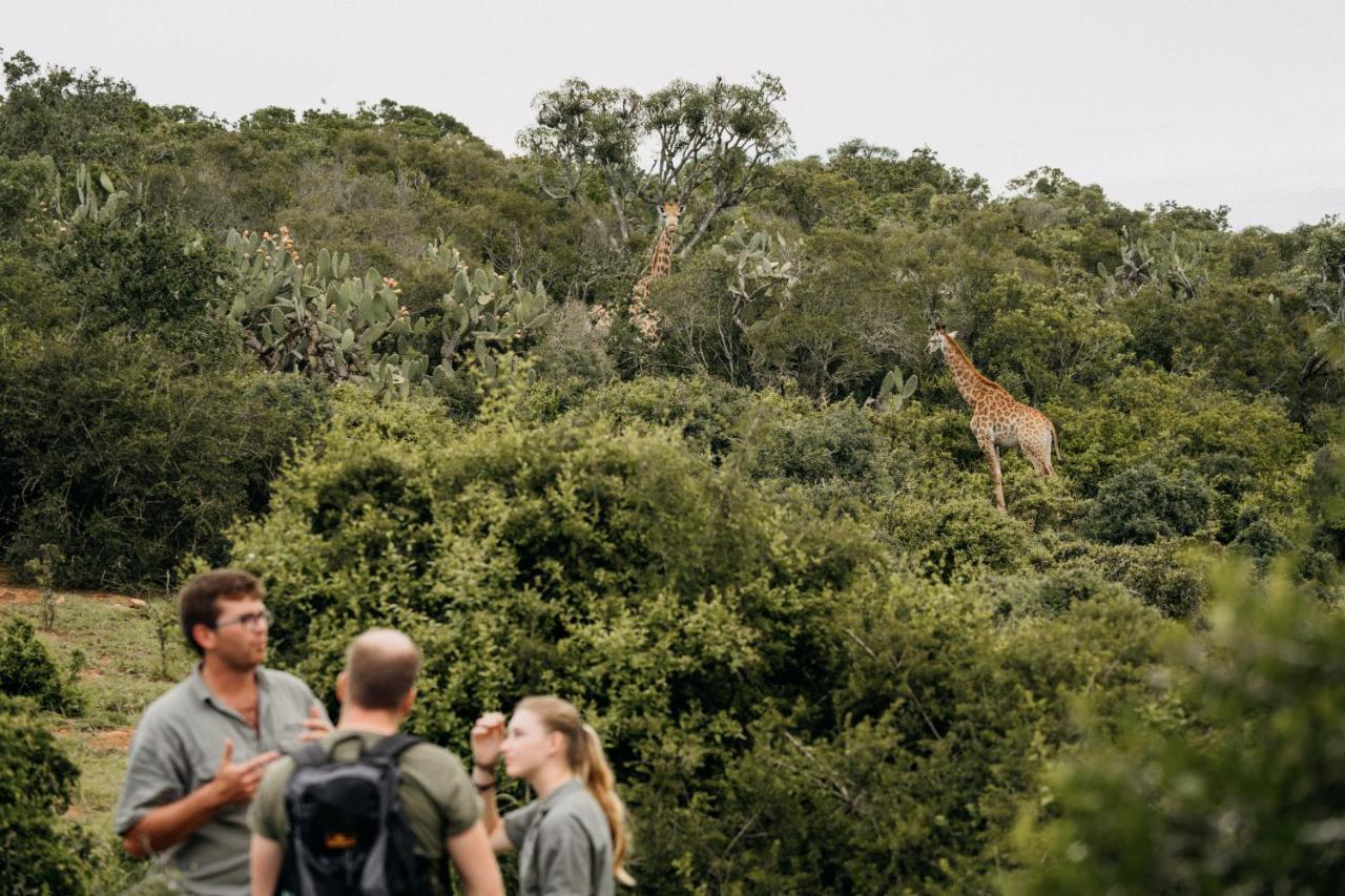 Addo Elephant Safari Lodge - Bellevue Forest Reserve Paterson Екстер'єр фото